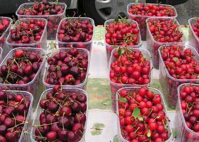 Vergers d’Hurtebise - Producteur de fruits
