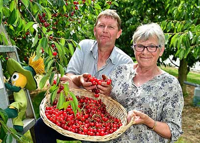 Vergers d’Hurtebise - Producteur de fruits